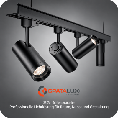Professionelle Lichtlösung Ph.-Strahler 230V