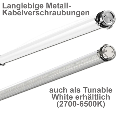 LED-TUBE X - Projektleuchten