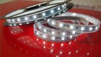 LED Strips 24V 9.6W IP67 SILIKON 240lm/m, rot