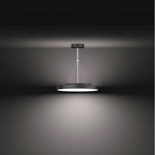 DECO LED Hänge-Leuchte Ø60cm, 60W DALI/PushDIM sz