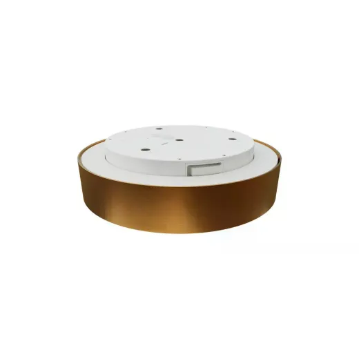 Ledeshi LED MODUDISC gold brushed, Mikroprisma, 10/18/24W, 3000/4000K, IP20, Ø320mm, DALI