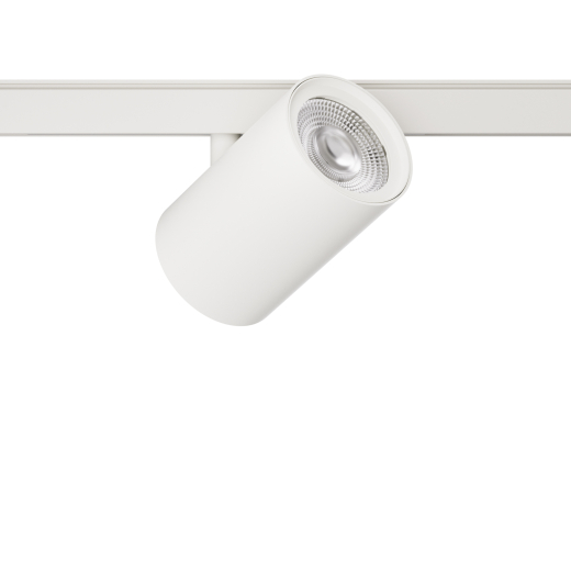48V Strahler Fixoptik 12W , Ra97, 1200lm, 15°/24°/36°/60°, ws