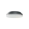 Ledeshi LED SLICE CIRCLE N II ws, sil o. anthr, 10/15W, 3000/4000K, IP54, Ø220, PhaseDim
