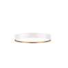 Aufbauleuchte weiss-gold Ø422mm 24W 27/30/4000K IP44 Ph.Dim