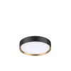 Aufbauleuchte schwarz-gold Ø301mm 18W 27/30/4000K IP44 Ph.Dim