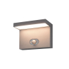 Wandaufbauleuchte TWINGERY anthrazit 6.4W, 450lm, CRI 90, IP65, 2700/3000K, PIR-Sensor - Ein/Aus