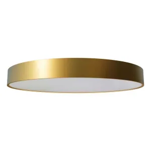 Ledeshi LED MODUDISC gold brushed, Mikroprisma, 38/55W, 3000/4000K, IP20, Ø600mm, DALI