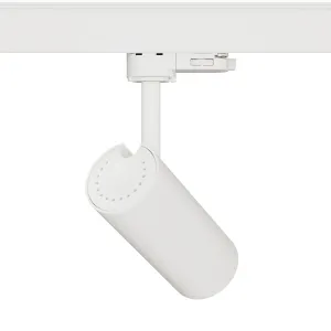 1-Ph Strahler VIBE 10W, 8-50°, CRI97, 470lm, weiss, Ph.Dim